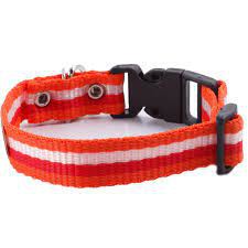 Coleira para Cães GR PET Speciale cor Laranja, vermelho e branco PP