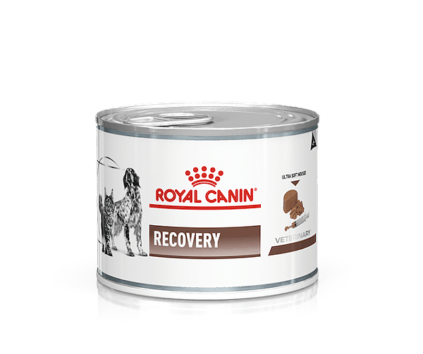 RECOVERY CANINE/FELINE 0,195KG (WET)