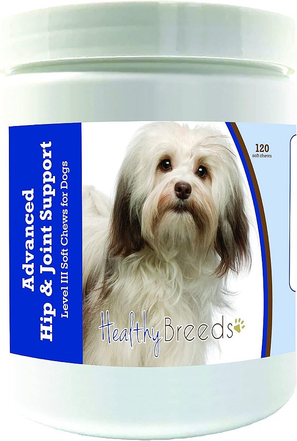 Suporta avançado de quadril e articulações para Havanese - Suplemento em mastigáveis macios para cães - Promove uma vida ativa e confortável com glucosamina, condroitina e mexilhão de lábio verde -