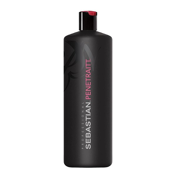 Sebastian Professional Shampoo Penetraitt