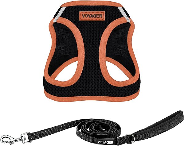 Voyager Passo-a-passo ar Combinação de arreio de malha para todas as condições climáticas e coleira de 5 pés para cães com alça de neoprene, para filhotes de raças pequenas, médias e grandes