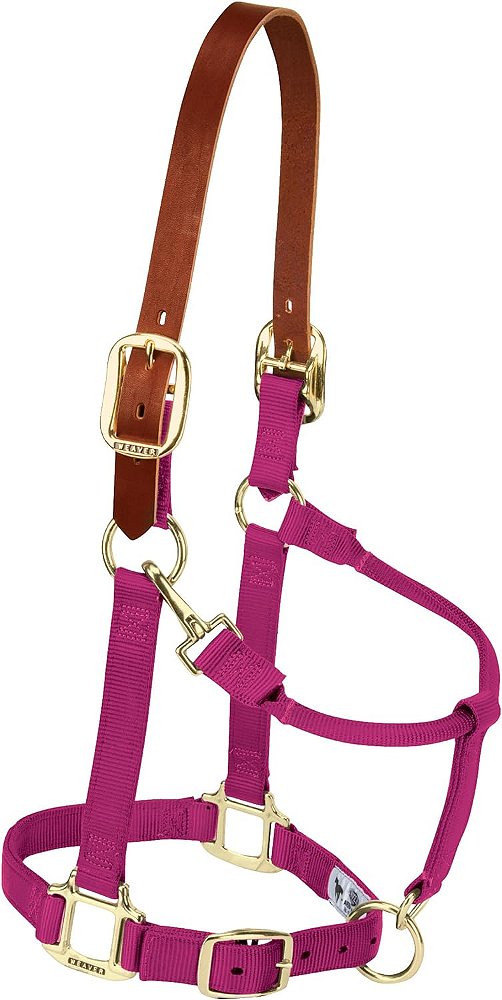 Weaver Leather Nylon Adjustable Breakaway Horse Halter, Average, Raspberry traduzido para o português brasileiro é: Weaver Leather Nylon Breakaway Halter Ajustável para Cavalos, Médio, Framboesa.