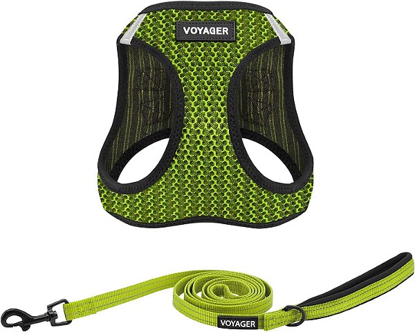 Prende Peitoral de Malha para Todas as Condições Meteorológicas e Passeio do Voyager, Combo com Coleira e Alça de Neoprene para Cães Pequenos, Médios e Grandes, por Best Pet Supplies - Verde Limão (B
