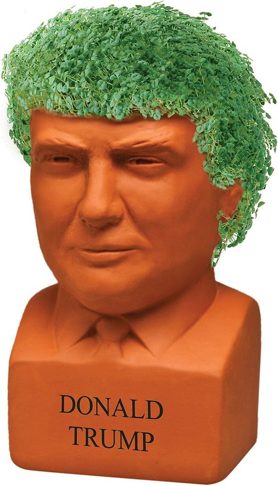 Chia Pet Donald Trump President com pacote de sementes, (8 x 4.5 x 7.3) Vaso Decorativo de Cerâmica, Fácil de Fazer e Divertido de Cultivar, Presente Novidade, Perfeito para Qual