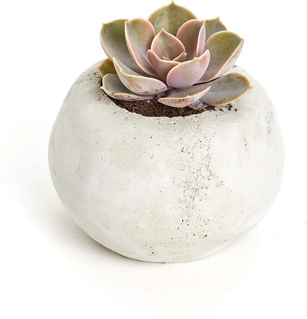 Vaso clássico de concreto para suculentas, vaso de cimento para uma única planta suculenta, cinza.