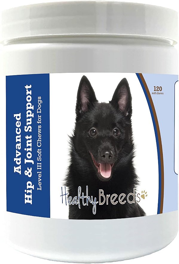 Saúde das Raças - Suporte Avançado para Quadril e Articulações Nível III em Biscoitos Macios para Cães Schipperke - Promove uma vida ativa e confortável com Glucosamina, Condroitina e Mexil
