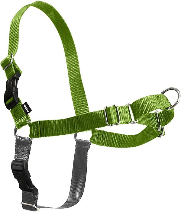 Peitoral para Cães PetSafe Easy Walk Sem Puxar - O Peitoral Definitivo para Parar de Puxar - Tome Controle e Ensine Melhores Maneiras de Passear - Ajuda a Prevenir Cães de Puxar Durante