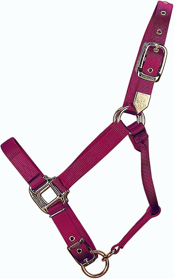 Cabresto ajustável de cavalo de nylon de 1 polegada, tamanho grande.