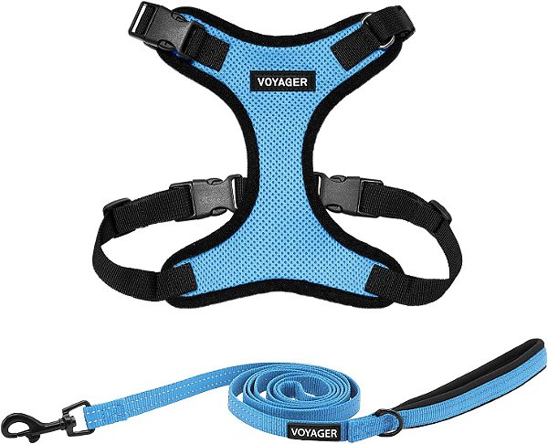 Coleira para cães Voyager Step-in Lock com conjunto de combinação de guia reflexiva com alça de neoprene de 1,5 m - Suporta filhotes/gatos de raças pequenas, médias e grandes da Best Pet Supplies - Azul