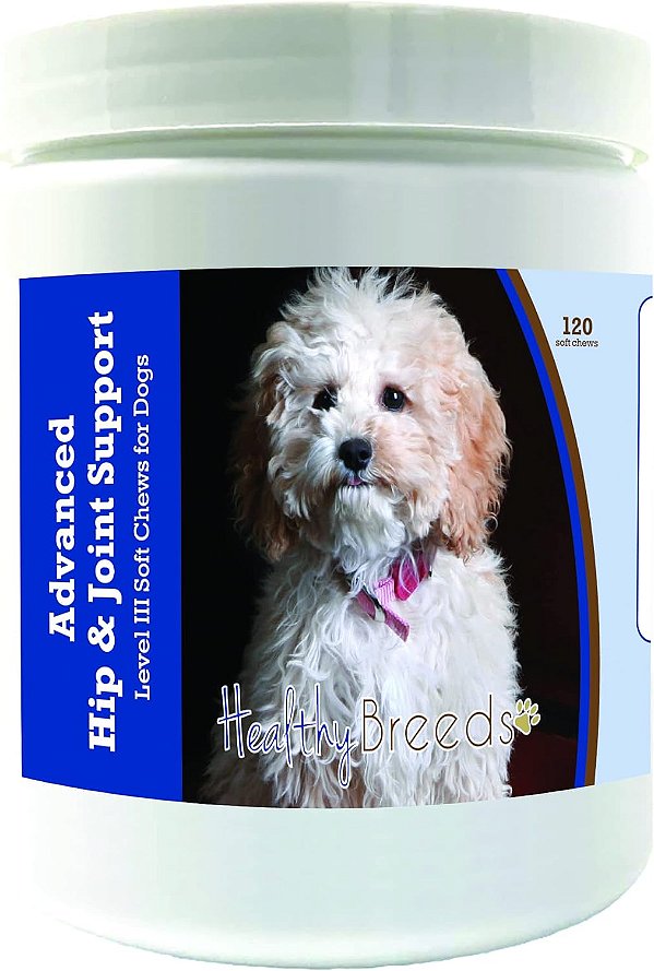 Suplemento avançado de suporte para quadril e articulações para cães Cockapoo de raças saudáveis - promove uma vida ativa e confortável com glucosamina, condroitina e mexilhão verde - 120 unidades.