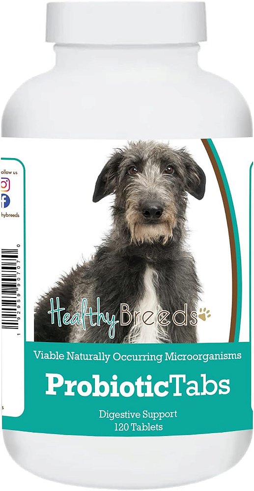 Suplemento Probiótico para Scottish Deerhound (120 Comprimidos) da Raça Saudável