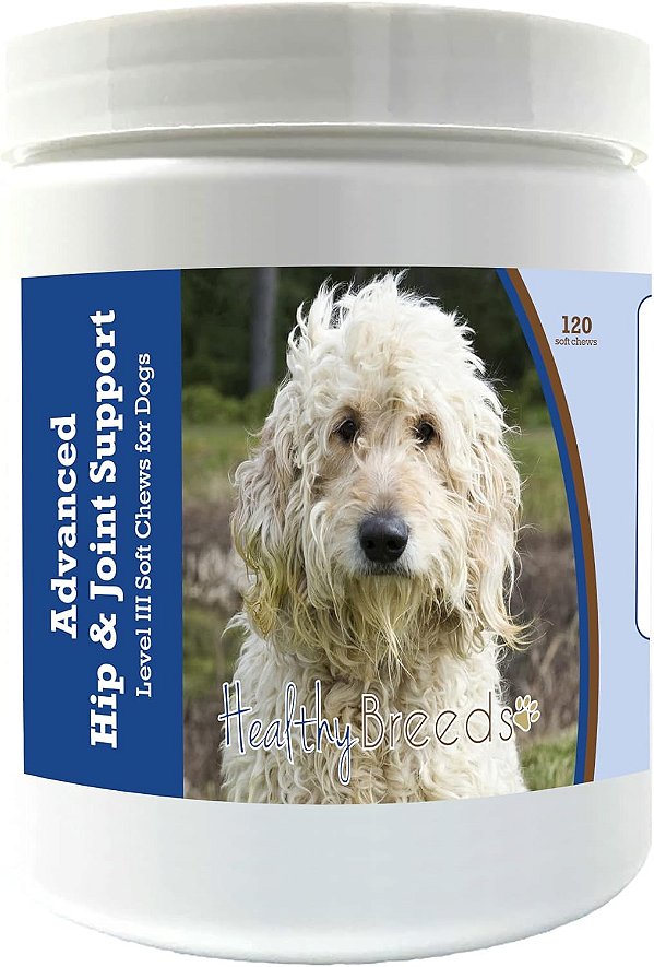 Suplemento Avançado de Suporte para Quadril e Articulações para Cães Goldendoodle da Healthy Breeds - Promove uma Vida Ativa e Confortável com Glucosamina, Condroitina e Mexilhão-Verde -