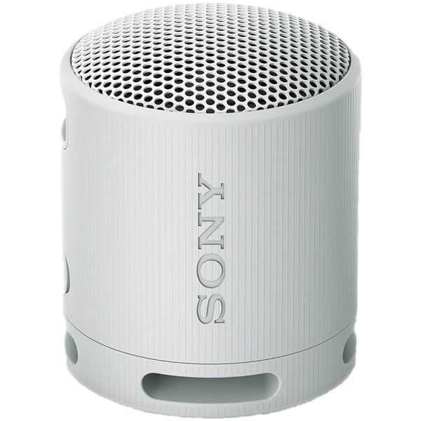 Alto-falante Portátil Sony SRS-XB100 - Cinza