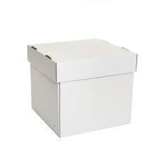 Caixa Papelao Bolo 30x30x30 25 unids