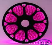 FITA DE LED 110V ROSA 5050 60LED + IP67 + 100M (TOMADA)