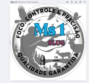 Slug Chumbo Carabinas cal 5,5mm 250un