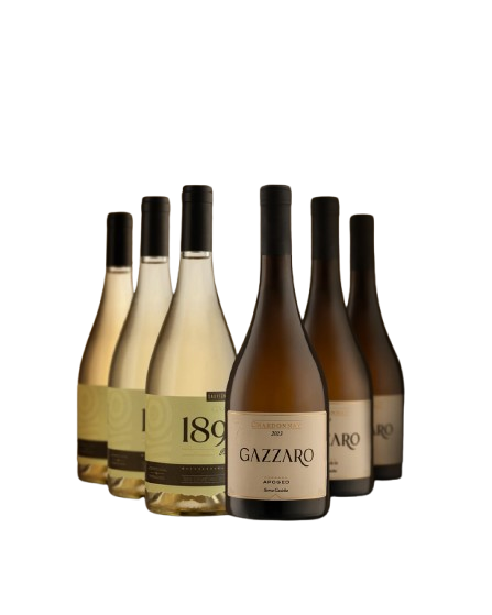 Combo Gazzaro