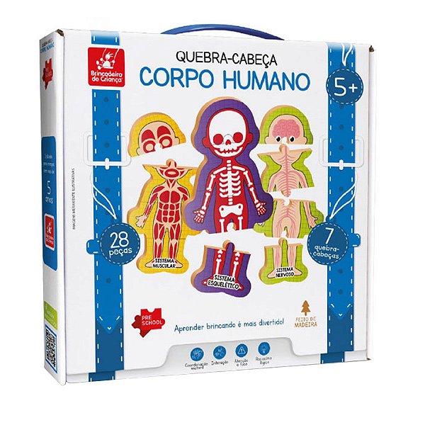 Corpo Humano, Brinquedo do Corpo Humano