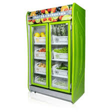 AUTO SERVIÇOS VERTICAL HORTIFRUTI 2 PORTAS POLAR