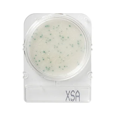 COMPACT DRY XSA STAPHYLOCOCCUS AUREUS
