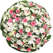 Coroa de Flores Grande Cemitério Jardim da Paz Homenagem