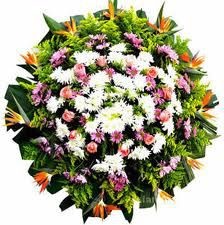Floricultura Cemitério Morumbi Homenagem