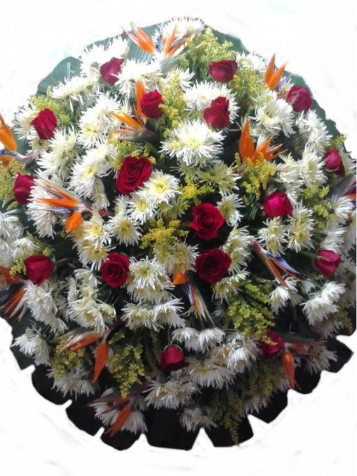 Floricultura Funeral Pacaembu