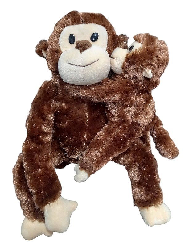 Macaquinho com filhote