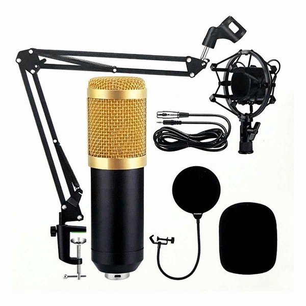Microfone Condensador Profissional para Cantor e Podcast - Alishow  Variedades