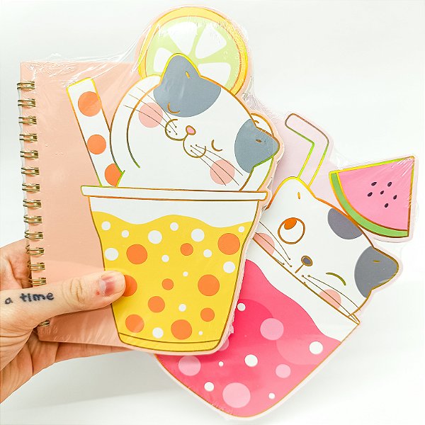 Caderneta Espiral Gatinhos Refresco B6