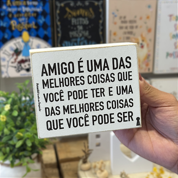 Quadro Box 8x10 em Madeira Melhores Amigos