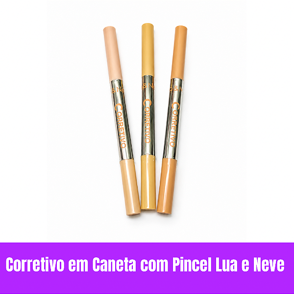 Corretivo em Caneta e Pincel Lua e Neve