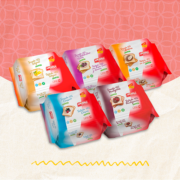 Kit Degustação com 5 Torradas VEG SG® Sem Glúten Aminna, 90g