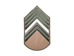 Divisa 1ºSgt - Bege