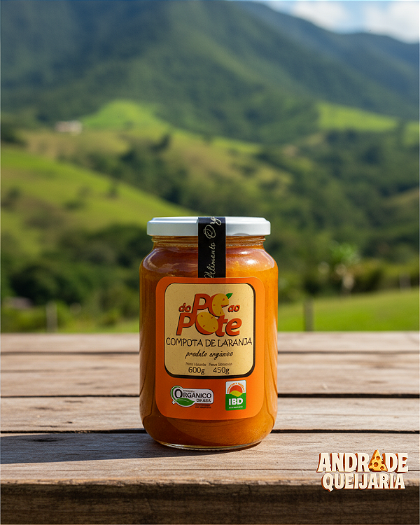 Laranja em calda Orgânica - Do pé ao Pote - 700g