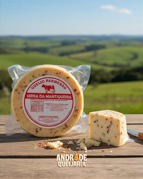 Parmesão Temperado - 580g