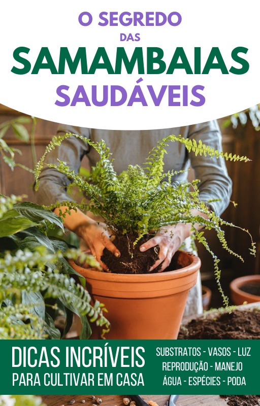 O Segredo das Samambaias Saudáveis (eBook)