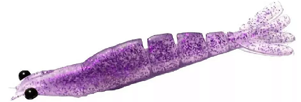 CAMARÕES MONSTER M3X X-MOVE 9CM - ESCOLHA A COR