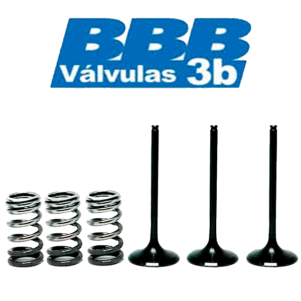 Válvula de Admissão YAMAHA YZF 250 01/13 WRF 250 01/13 + Molas 3B