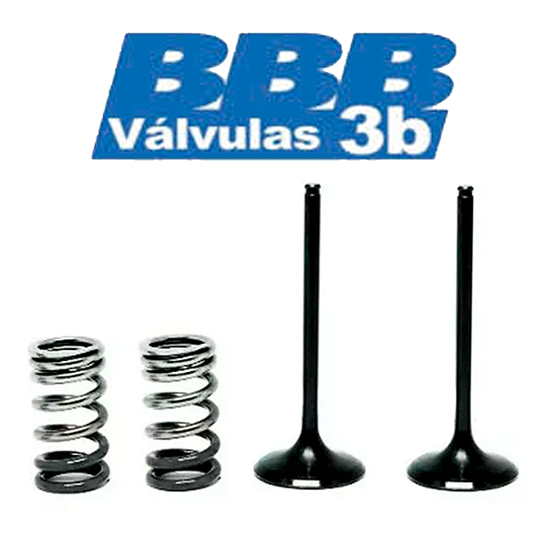 Válvula de Admissão KAWASAKI KXF 250 11/16 + Molas 3B