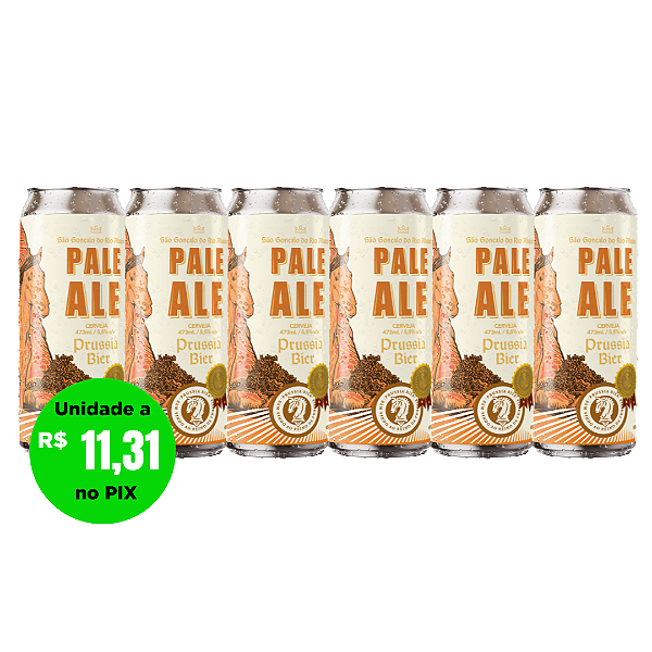 Pale Ale – 6 Latas