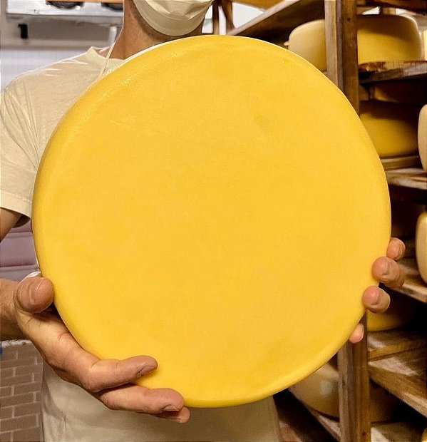 Queijo Alagoa Faixa Amarela 3 meses de Maturação 5kg