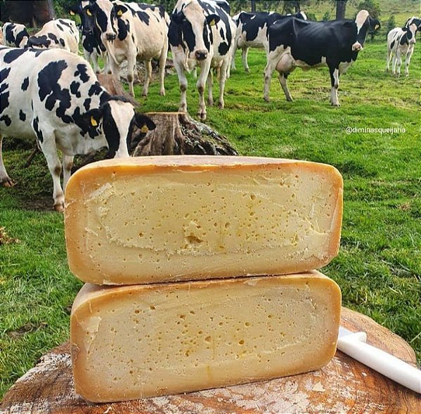Queijo Alagoa Cunha 250g Fazenda Garrafão 3 Meses de Maturação