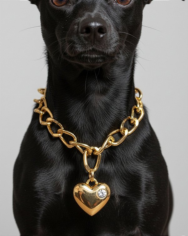 Colar para Cachorro com Pingente - CORAÇÃO  DOURADO