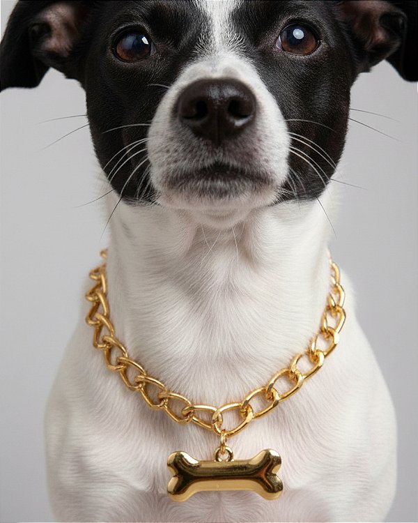 Colar para Cachorro com Pingente  - OSSO DOURADO
