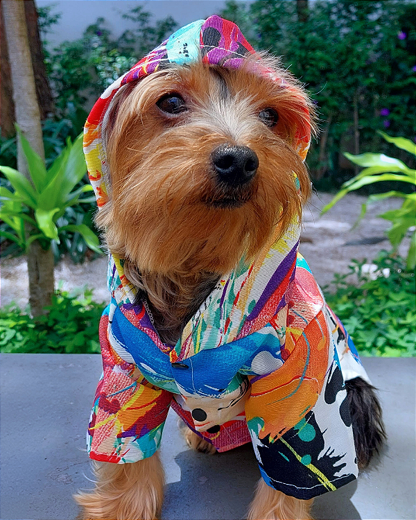 PINTURA - Capa de Chuva para Cachorro