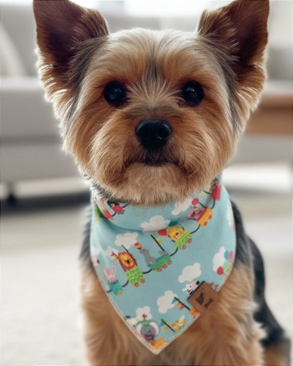 PARQUINHO SAFARI AZUL - Bandana Pet
