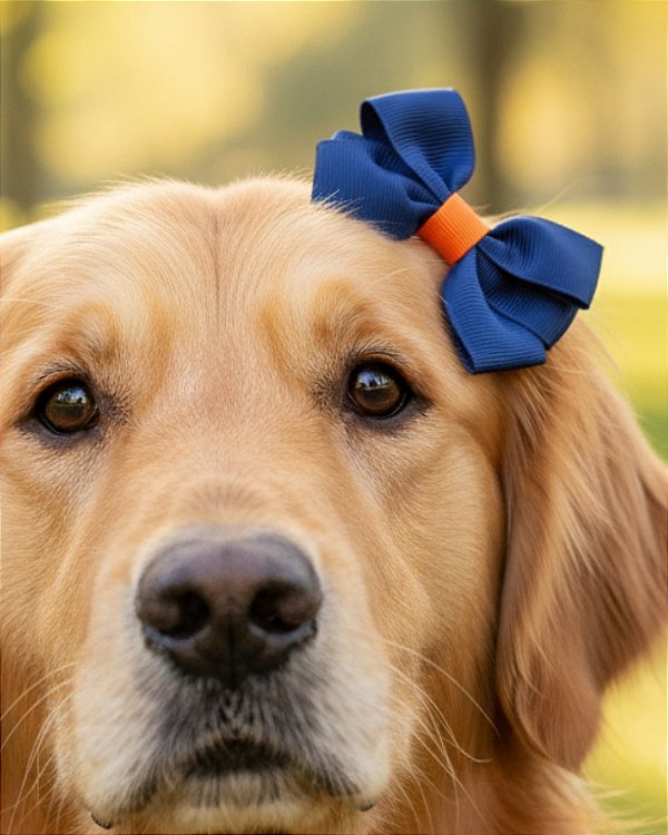 AZUL MARINHO E LARANJA  - Laço Pet em Tecido