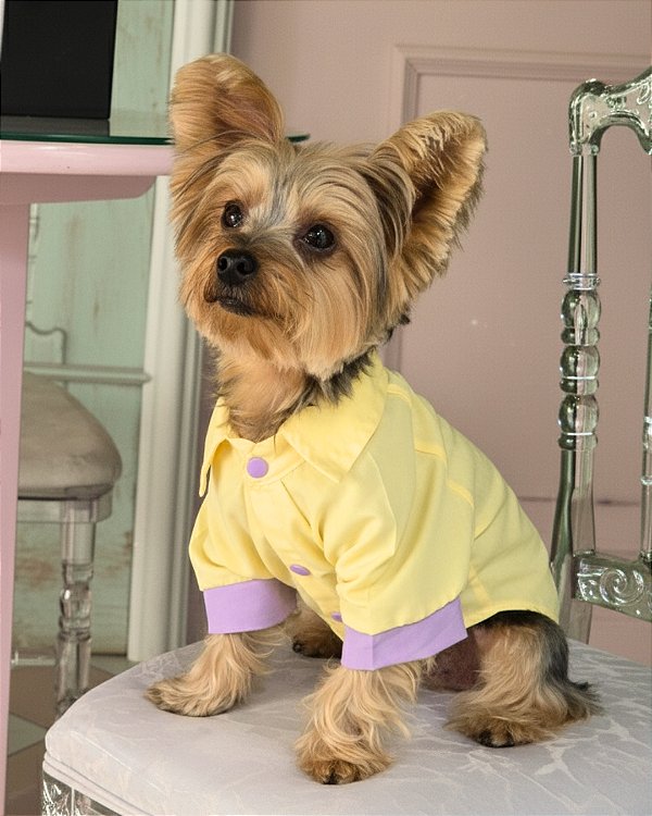 AMOR PERFEITO - Camisa de Cachorro