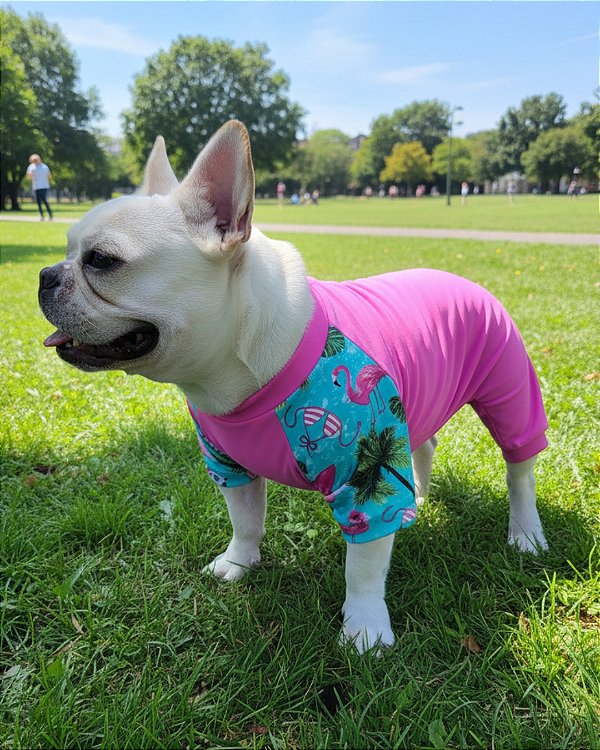 VIDA PRAIANA ROSA MACACÃO - Roupa UV50+ (roupa pet com proteção solar)